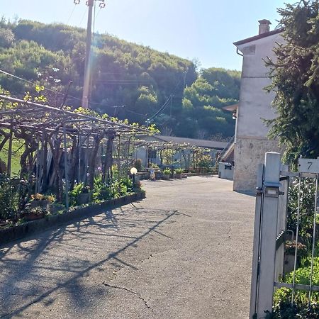 La Torretta - Incantevole Appartamento Nei Colli Berici Nanto Buitenkant foto