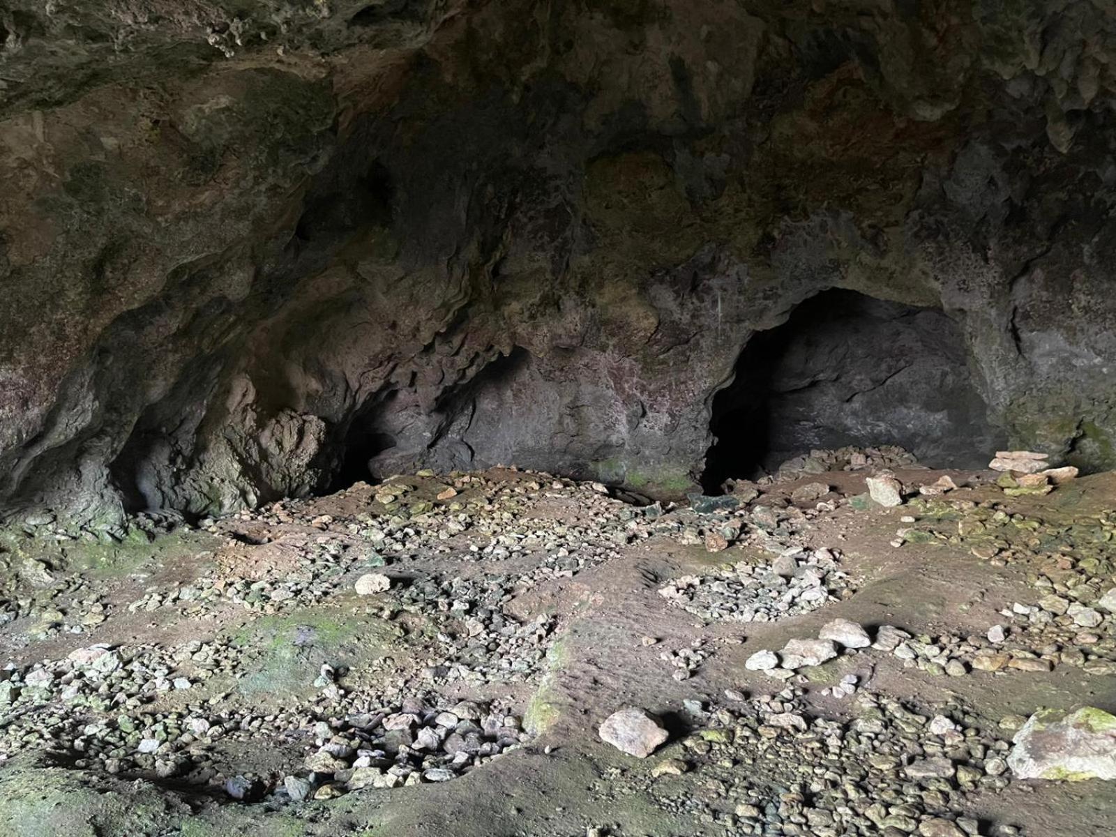 La Torretta - Incantevole Appartamento Nei Colli Berici Nanto Buitenkant foto