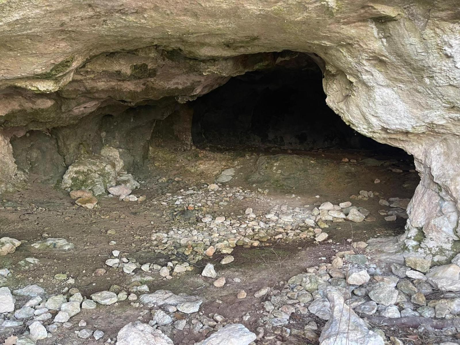 La Torretta - Incantevole Appartamento Nei Colli Berici Nanto Buitenkant foto