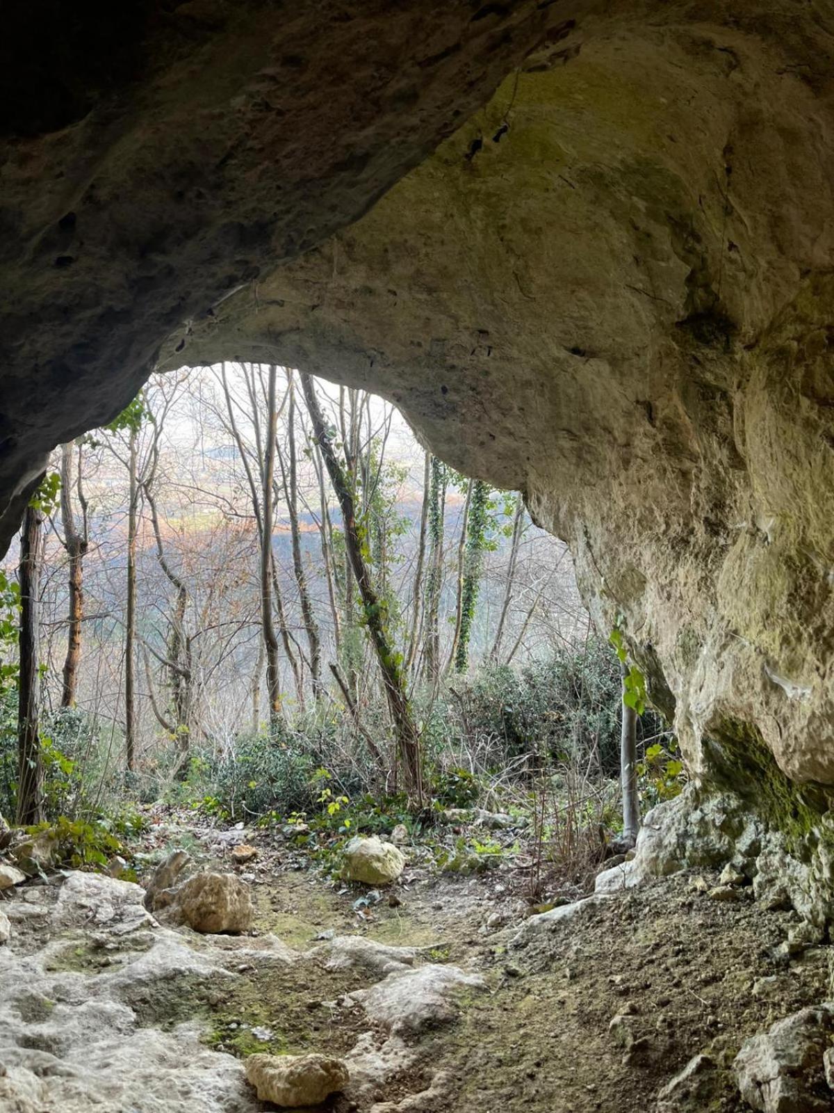 La Torretta - Incantevole Appartamento Nei Colli Berici Nanto Buitenkant foto