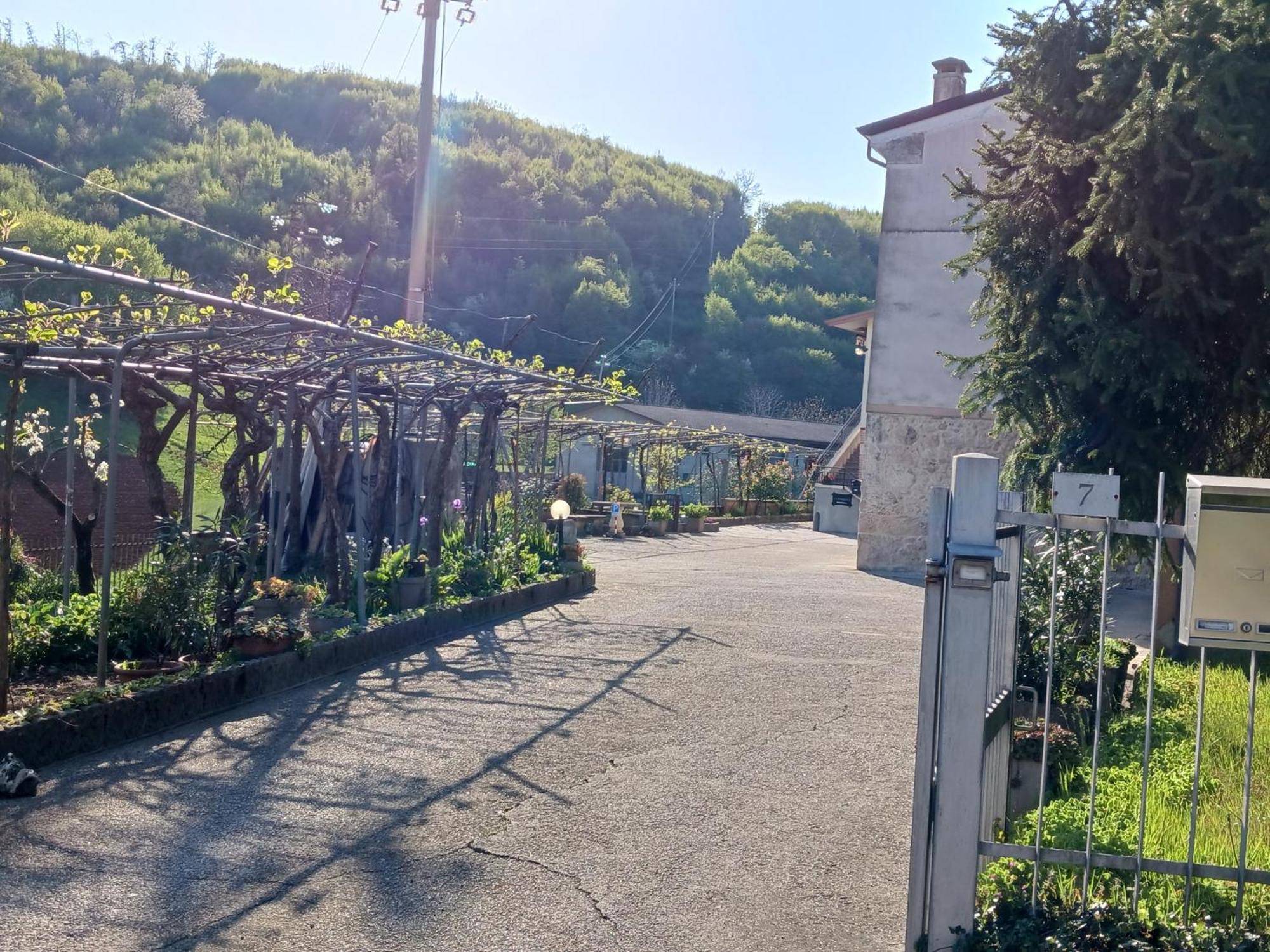 La Torretta - Incantevole Appartamento Nei Colli Berici Nanto Buitenkant foto
